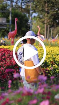 BIB:  <button type="button" onclick="openModal(27588661)" class="btn btn-primary btn-sm float-right" data-toggle="modal" data-target=".modal-high-quality">
                <i class="fa fa-download"></i> Download
                </button>